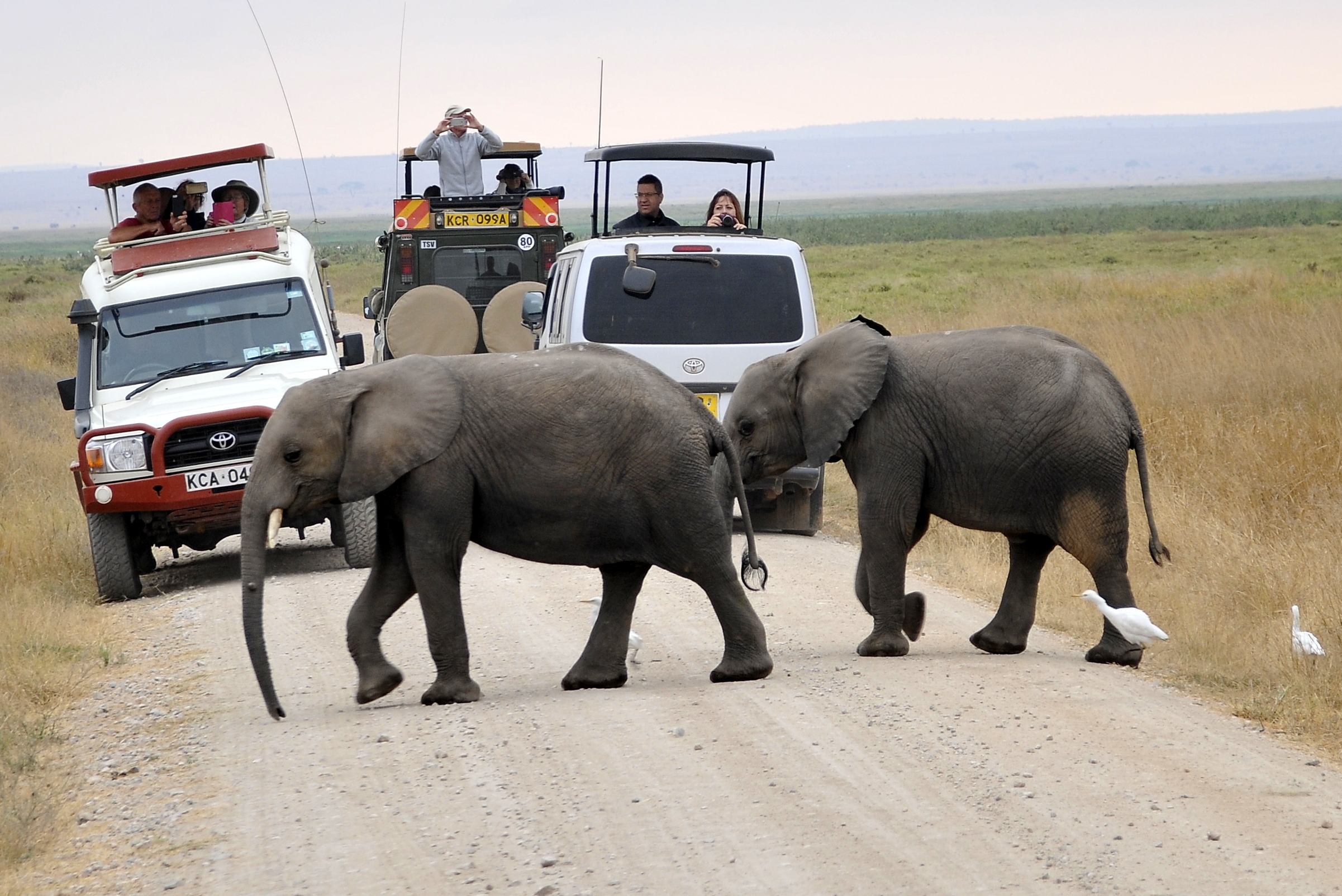 8-Day Majestic Kenya Safari