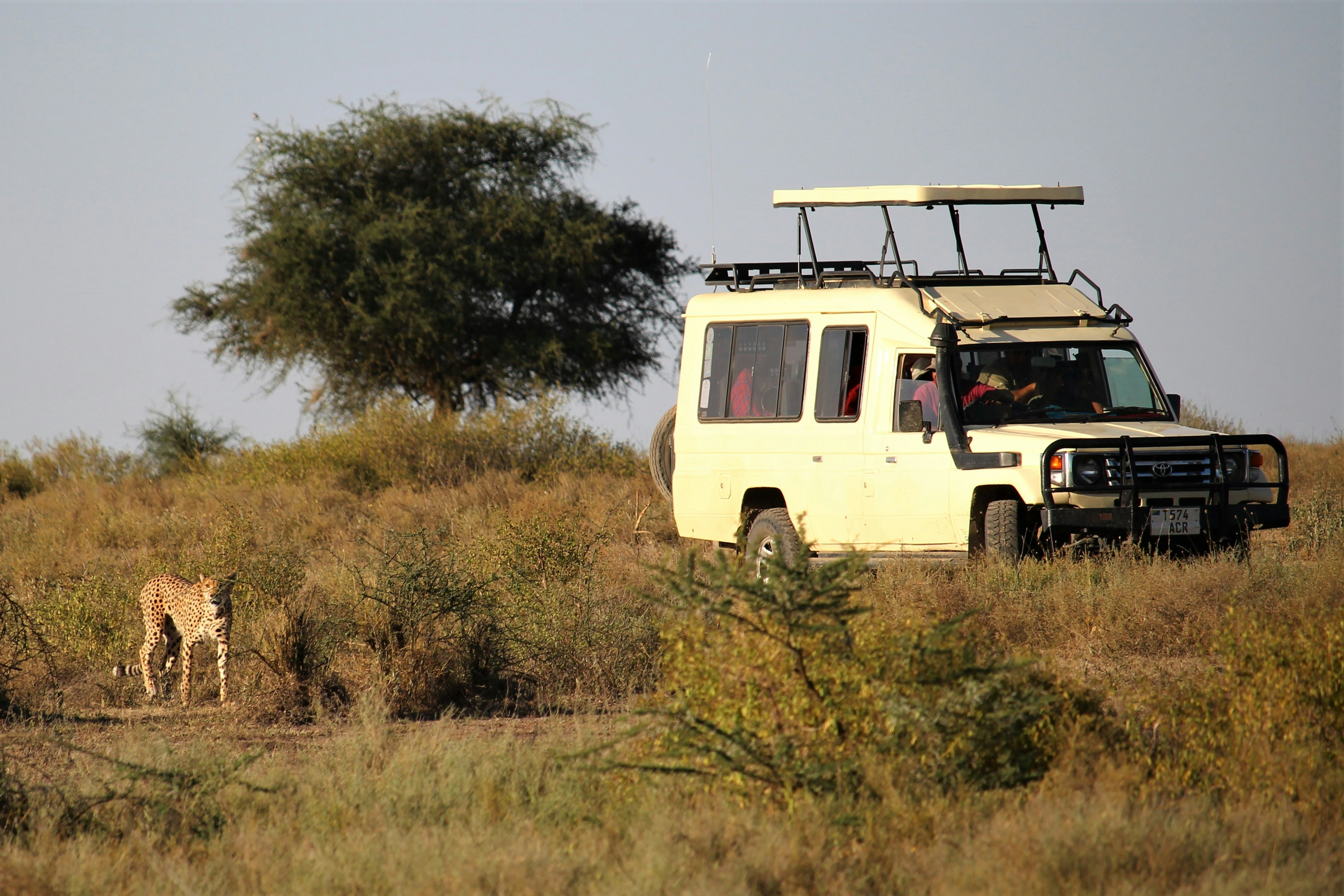 2-Day Nairobi-Amboseli High End Tour