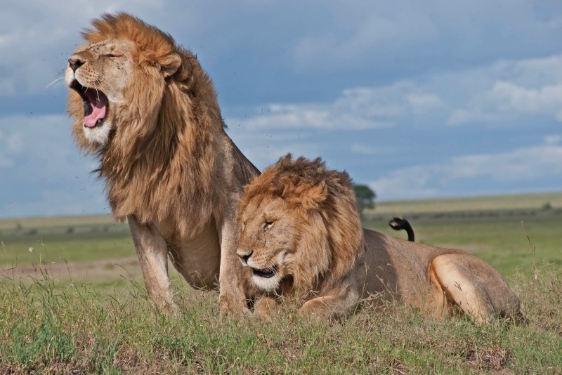 We'd love to hear from you