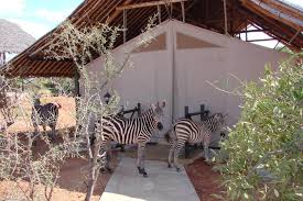 3 DAYS MAN EATERS CAMP TSAVO WITH LAND CRUISER BASED ON 6 PAX SEPT- 15TH DEC