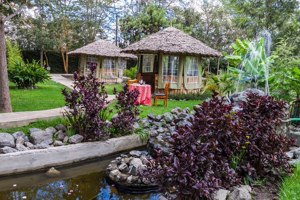Fred's Ranch & Resort